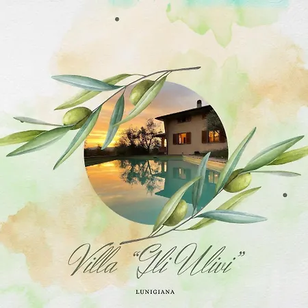 Gli Ulivi - Moncigoli *