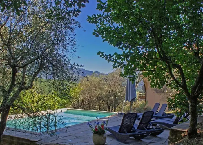 Gli Ulivi - Moncigoli *